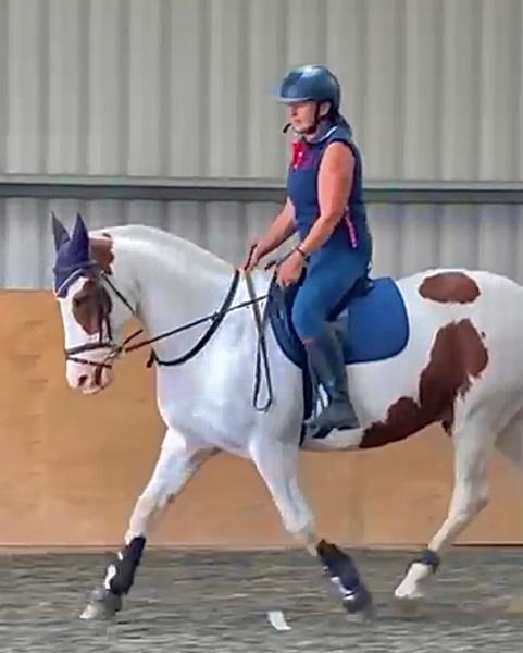 Happy horse ... happy customer!