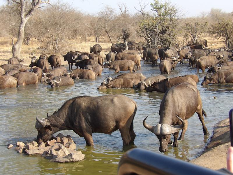 Our wonderful Go2Africa experience!