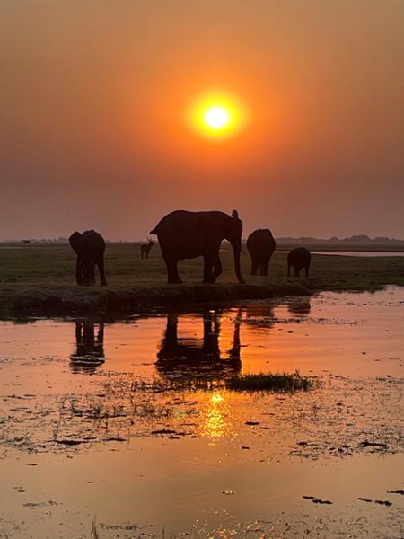 Go2Africa is the best