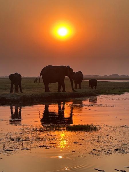 Go2Africa is the best