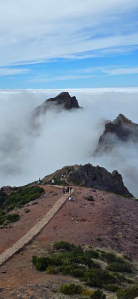 Madeira  the Pearl of the Atlantic for solo travellers