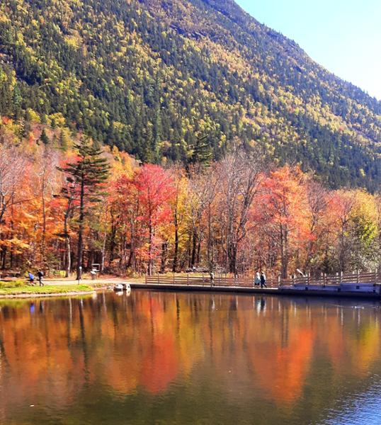 The perfect Tour company for taking multiple trips a year