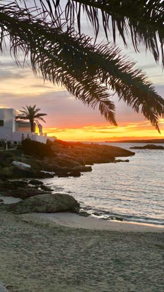 Formentera and Swimquest is THE best !