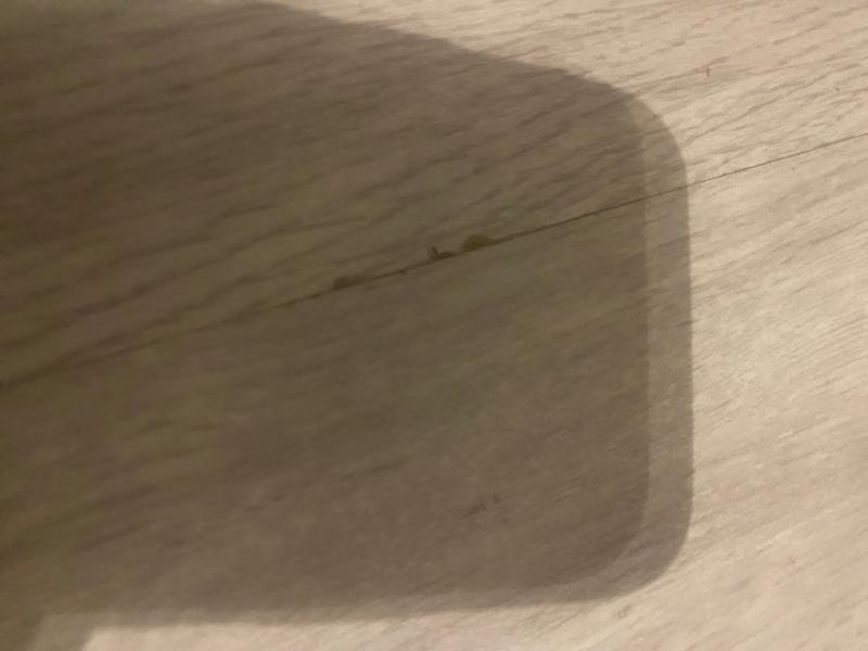 Not good. Poor quality. Laminate chipping after three weeks.