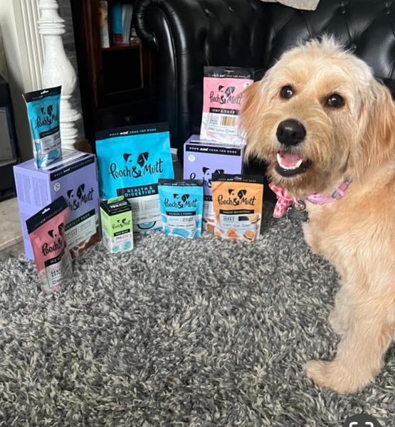 Pooch and Mutt service review