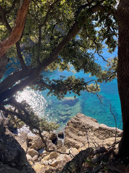 Your holiday: Explore the Cinque Terre Guided Walking