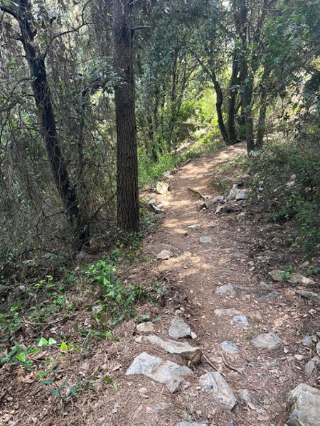 Your holiday: Explore the Cinque Terre Guided Walking