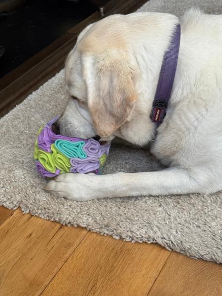Dog Snuffle Ball | Fun Puzzle Toy For Dogs | Machine Washable | Pooch & Mutt | Made From 75% Recycled Materials