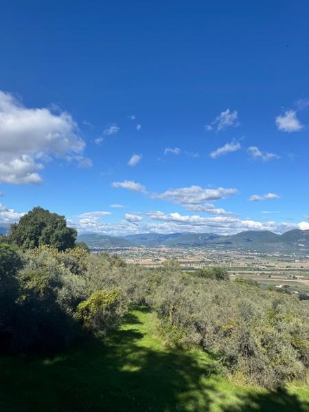Umbria Cycling Break