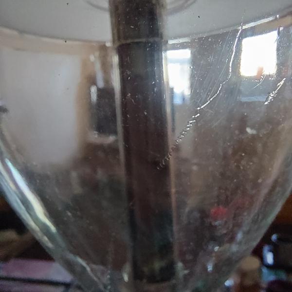 BugAway Spider & Insect Catcher - Long