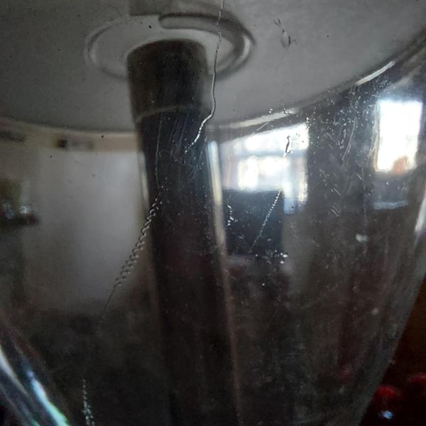 BugAway Spider & Insect Catcher - Long