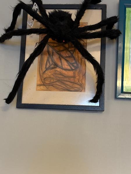 Legs new home !! Spider