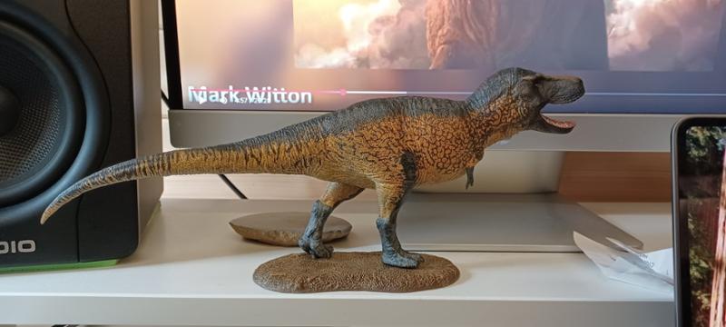 Terrific Tyrannosaur!