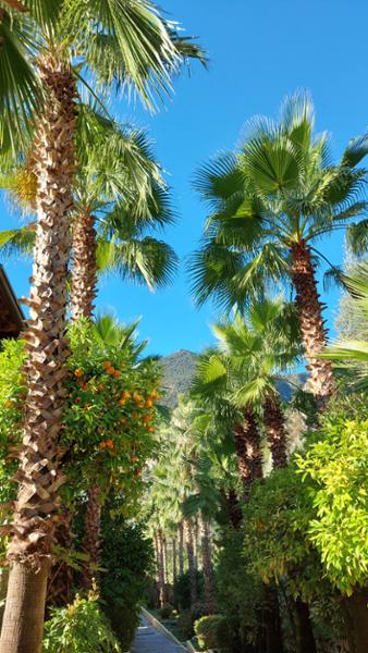 Sehr schönes Hotel am Gardasee