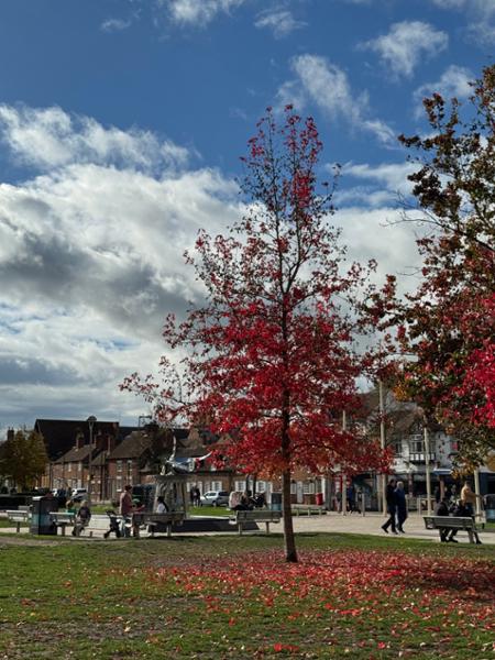 Best of Britain- October
