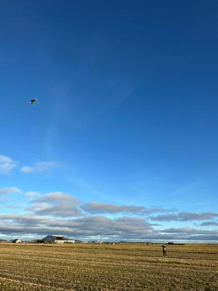 Fantastic wee kite