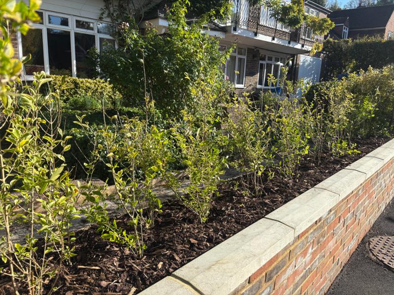 Great value, new hedge, brilliant service.