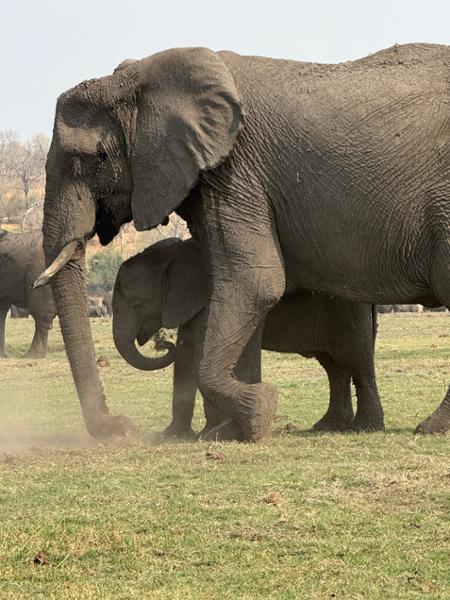 South Africa