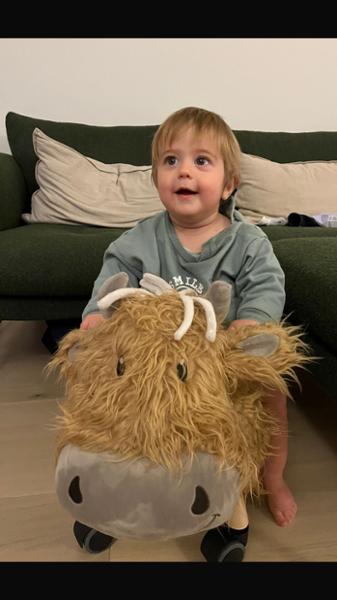 Hubert Highland Cow Ride On Toy