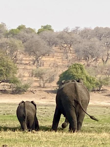 South African trip of a life time!