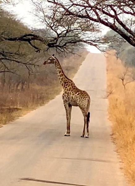 South African trip of a life time!