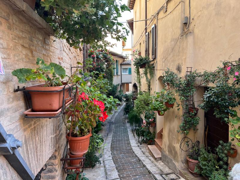 Best of Italy and Sicily
