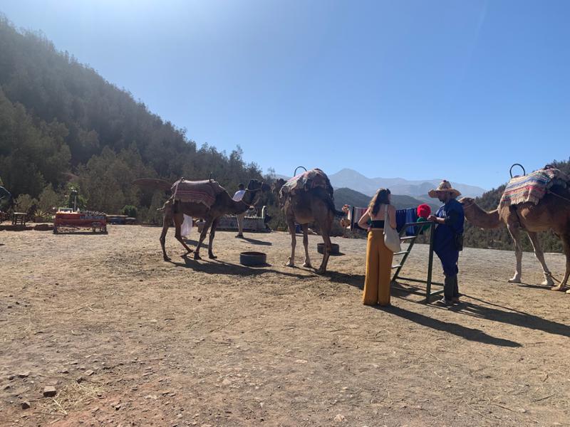 Marrakesh and The Atlas Mountains