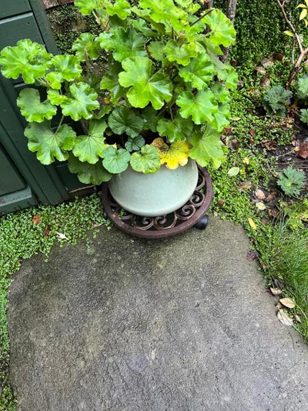 Useful pot stand