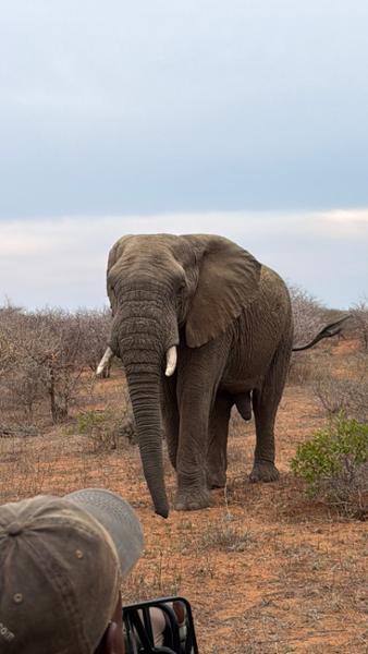 Go2Africa Is Simply The Best!!!