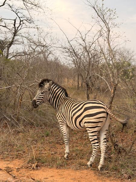 Go2Africa Is Simply The Best!!!