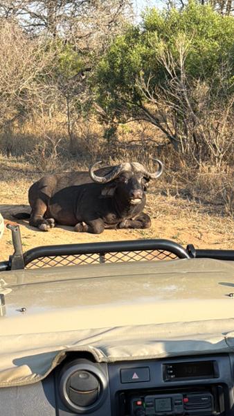 Go2Africa Is Simply The Best!!!