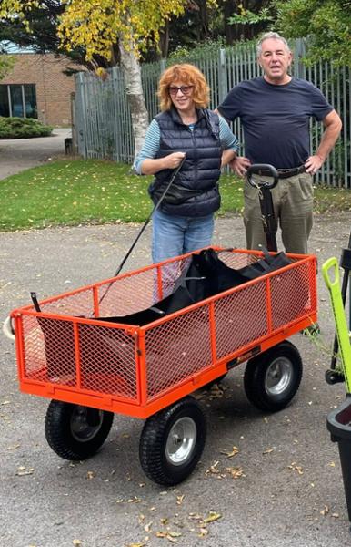 Magnificent garden cart, delivery process needs attention via chose courier