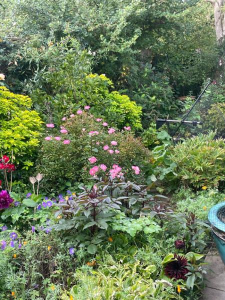 Daphne. Good service from a trusted supplier.