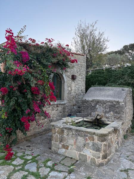 Amazing Villa with beutiful surroundings