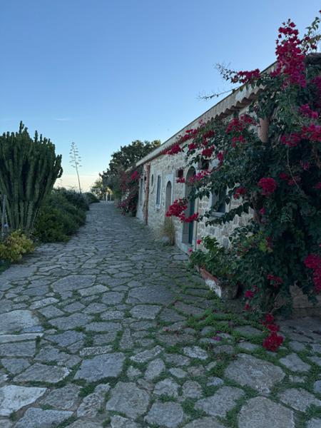 Amazing Villa with beutiful surroundings