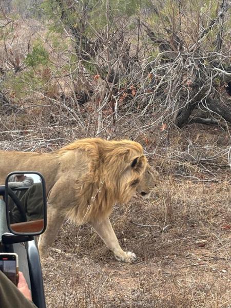 Incredible experience booking and traveling through South Africa
