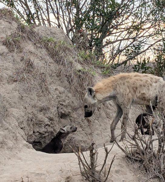 Incredible experience booking and traveling through South Africa