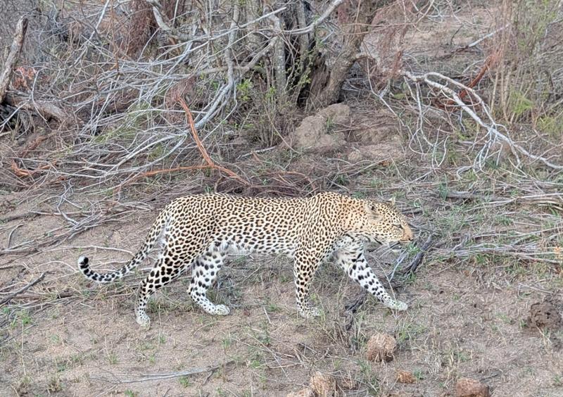 Incredible experience booking and traveling through South Africa