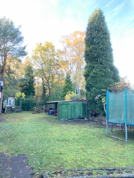 Fake hedge gives quick results while allowing time for real plants to grow