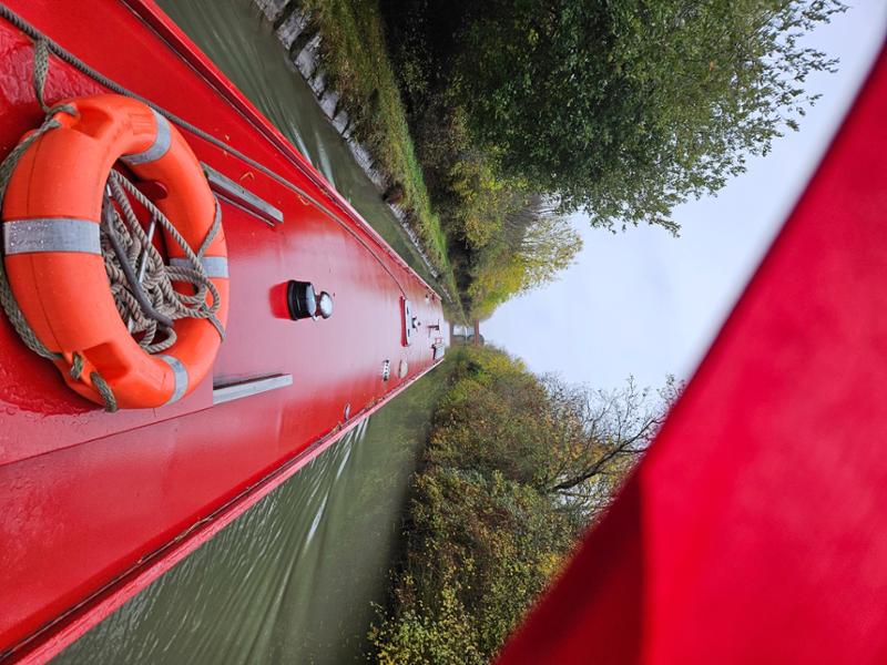 Your recent holiday on Duck - Pintail Duck from Springwood Haven Marina