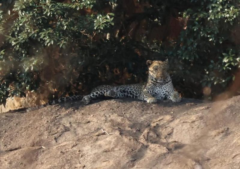 Trip of a lifetime to South Africa and Victoria Falls