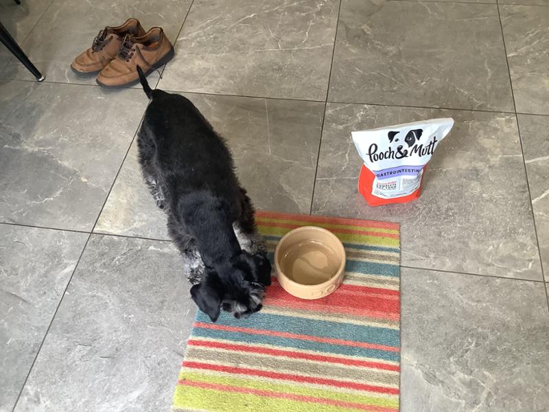 Gastrointestinal Dog Food | 10kg | Low Fat Dog Food For Pancreatitis | Pooch & Mutt | Veterinary Dog Food