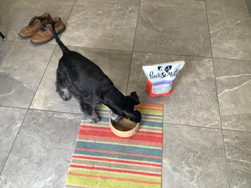 Gastrointestinal Dog Food | 10kg | Low Fat Dog Food For Pancreatitis | Pooch & Mutt | Veterinary Dog Food