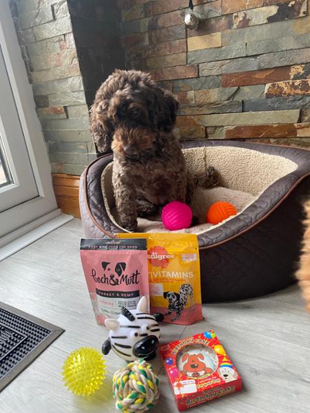 Pooch & Mutt - we love!!! 🐶🩷
