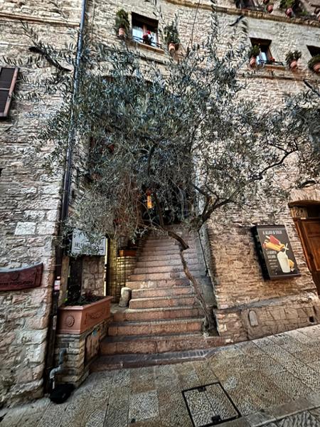 Best of Italy