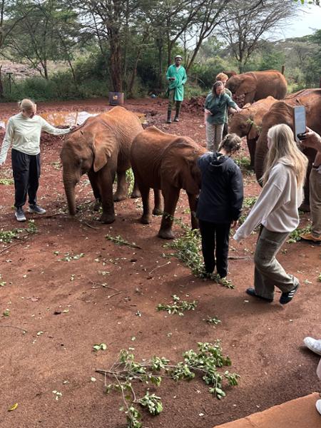African Travel is the gold star standard for safari experiences