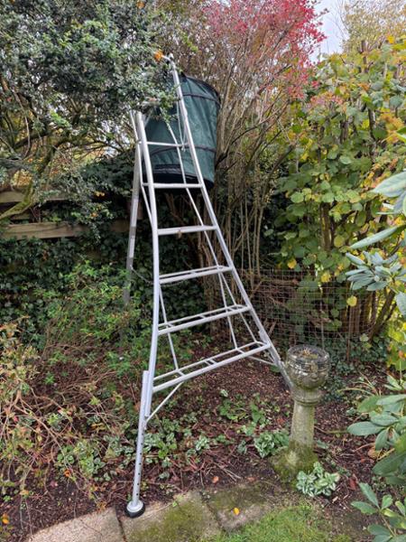 The ladder for safe hedge cutting.