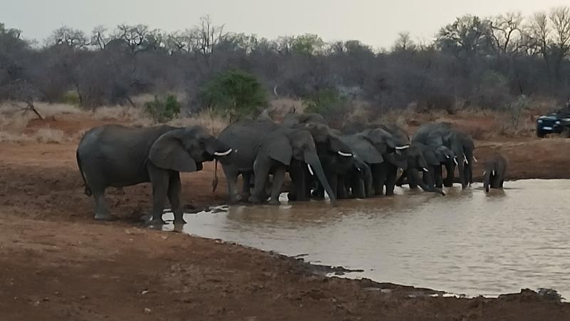 Experience of a Lifetime
