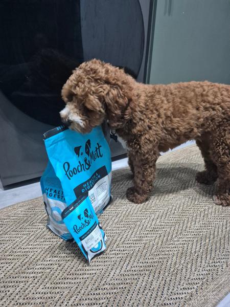 Wet Dog Food For Sensitive Stomachs | 150g | Grain-Free Dog Food For Allergies | Pooch & Mutt | Sensitive Dog Food For Digestion