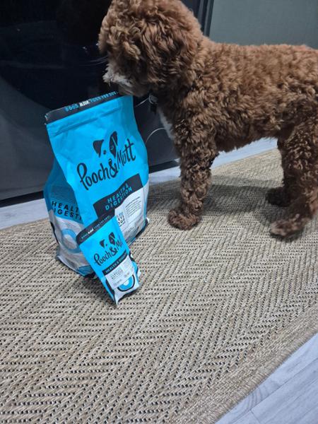 Wet Dog Food For Sensitive Stomachs | 150g | Grain-Free Dog Food For Allergies | Pooch & Mutt | Sensitive Dog Food For Digestion